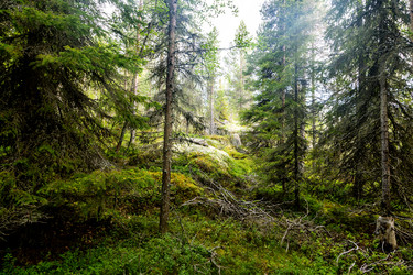 Similar image 22011689