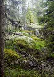 Similar image 22011691