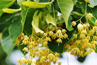 Similar image 22015489