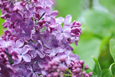 Similar image 22015490