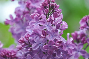 Similar image 22015492