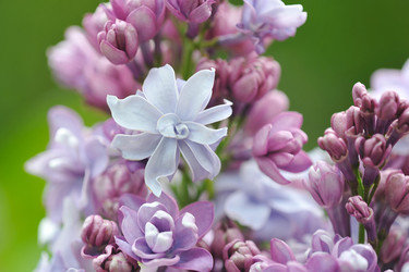 Similar image 22015494