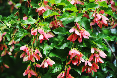 Similar image 22015495