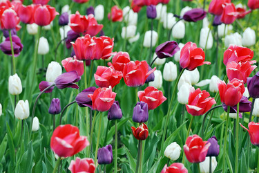 Similar image 22015497