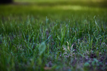 Similar image 22017431