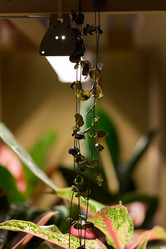 Similar image 22017432