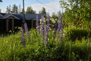 Similar image 22018534