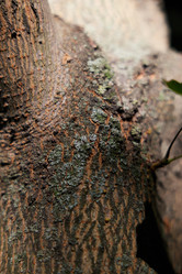 Similar image 22018538