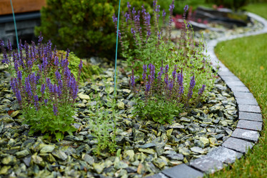 Similar image 22018540