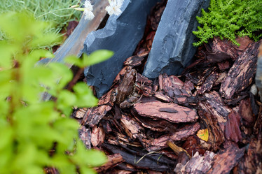 Similar image 22018541