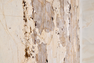 Similar image 22018549