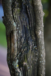 Similar image 22018550