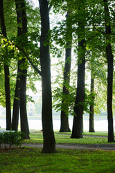 Similar image 22018905