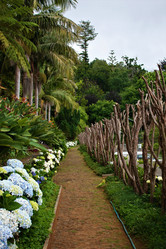 Similar image 22008136