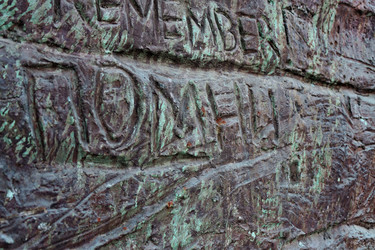 Similar image 22008141