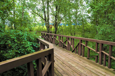 Similar image 22008153