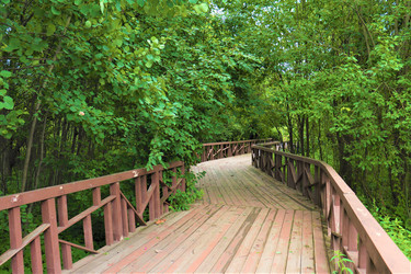 Similar image 22008223