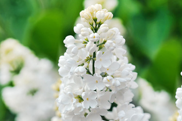 Similar image 22015535