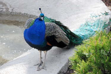 Similar image 22015537