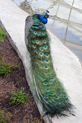 Similar image 22015539