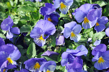 Similar image 22015699