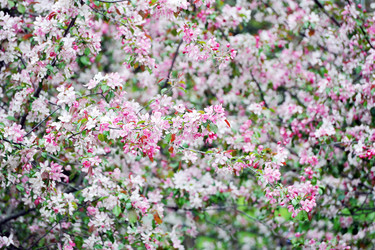 Similar image 22015705