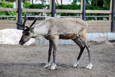 Similar image 22015707