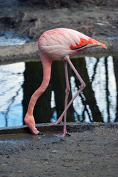 Similar image 22015708