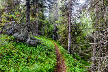 Similar image 22012276