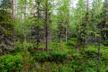 Similar image 22012318