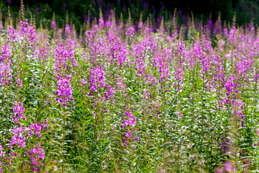 Similar image 22012324