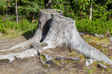 Similar image 22012709