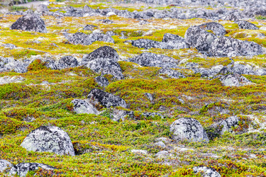 Similar image 22012789