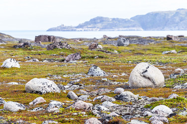 Similar image 22012791