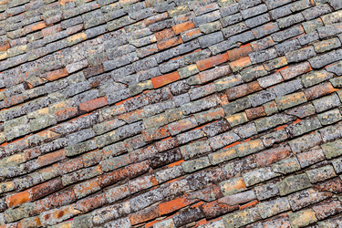 Similar image 22012794