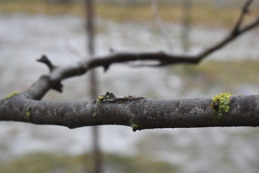 Similar image 22008311