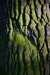 Similar image 22014098