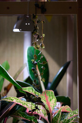 Similar image 22014149