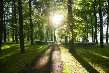 Similar image 22014152