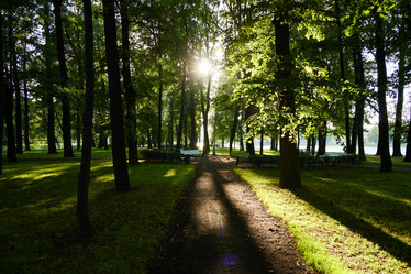 Similar image 22014164