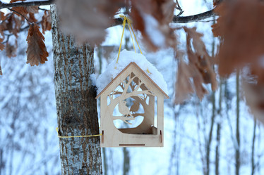 Similar image 22014325