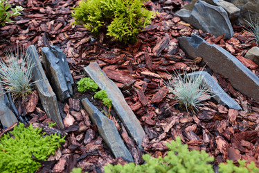 Similar image 22014336