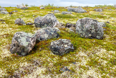 Similar image 22011708