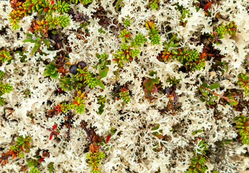 Similar image 22011714