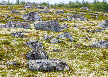 Similar image 22011716