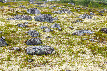 Similar image 22011717