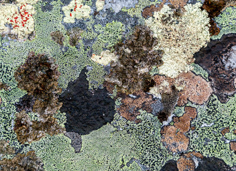 Similar image 22011718