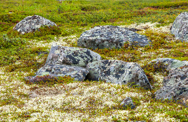 Similar image 22011933