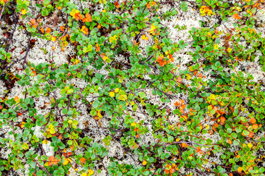 Similar image 22011934