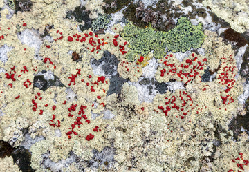 Similar image 22011936